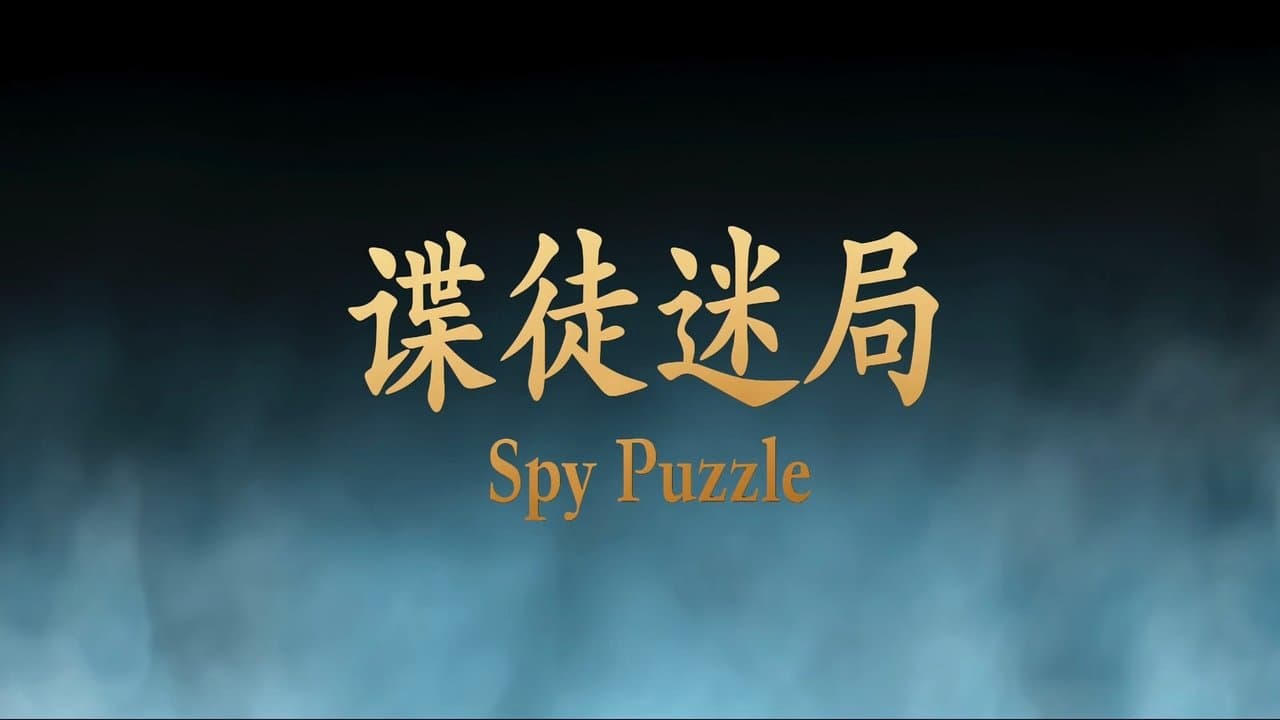 Spy Puzzle