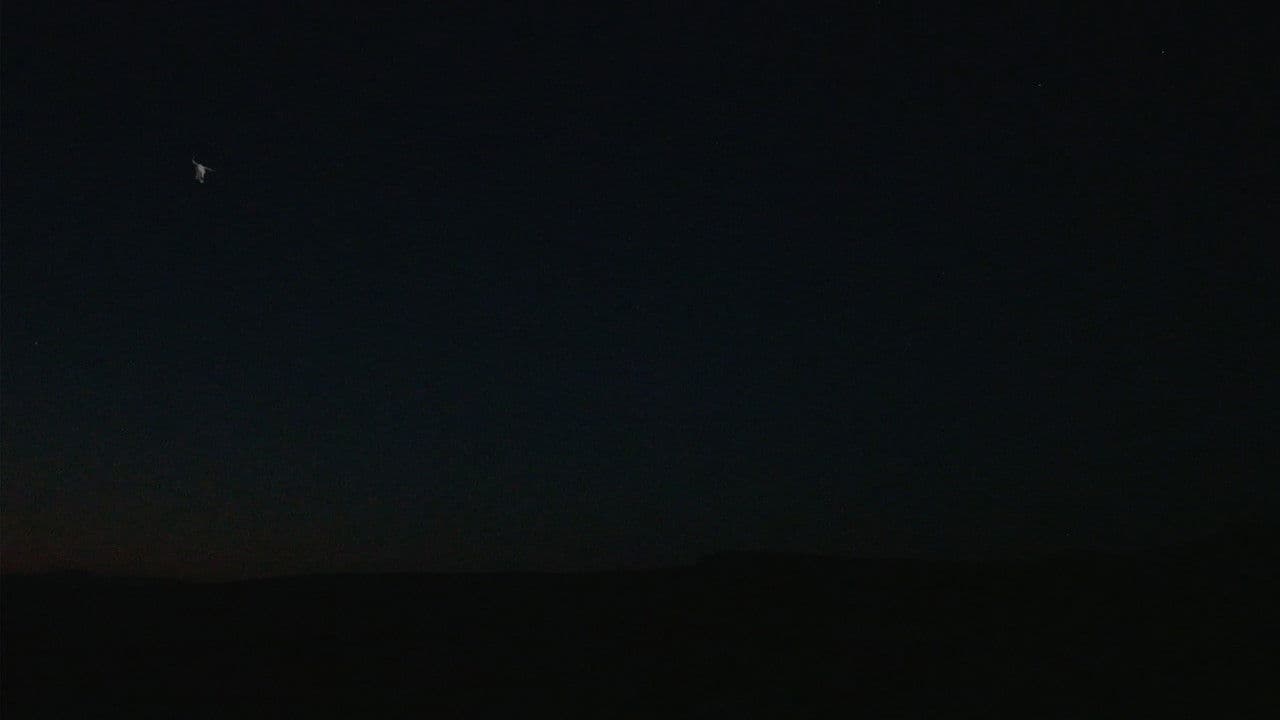 The Skull and the Arm