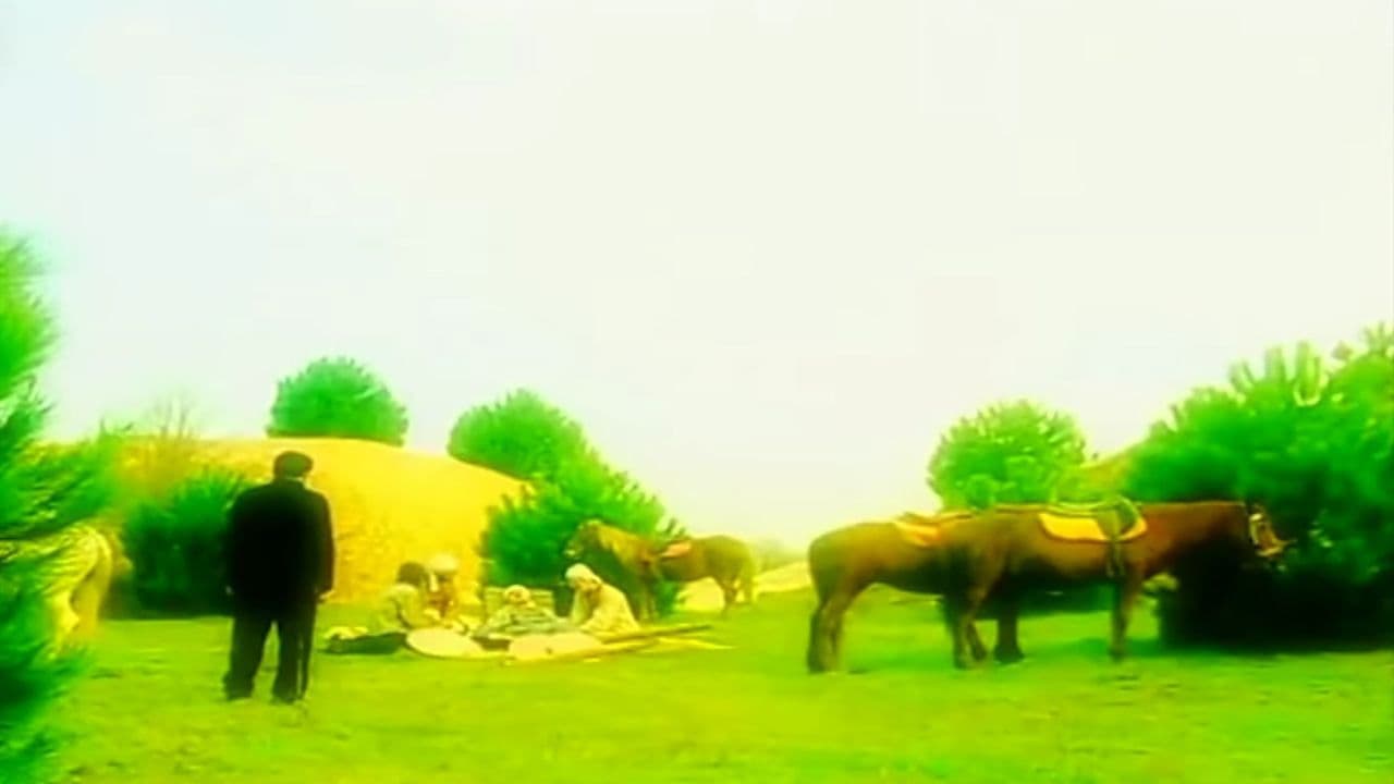 Eyüp Sultan Yolcusu