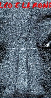 Il falco e la rondine