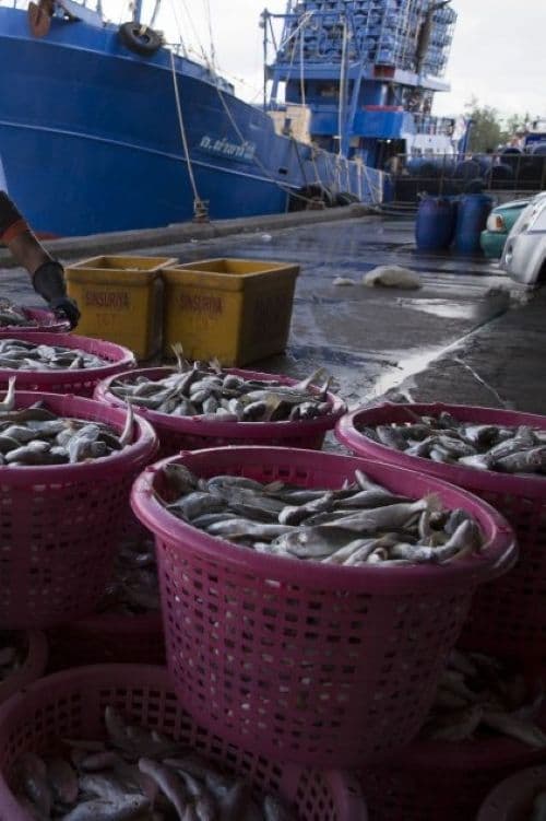 Supermarket slave trail